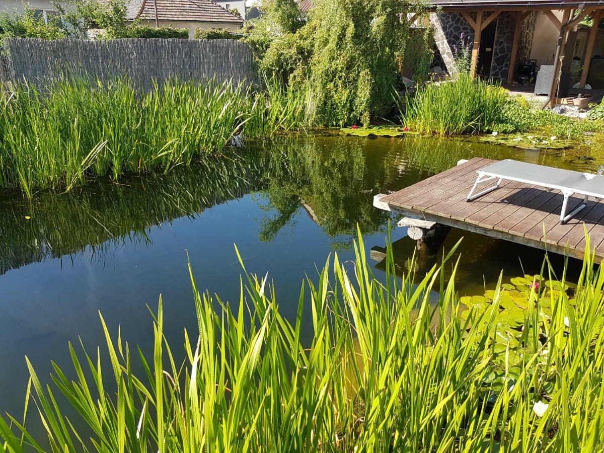 Walnut Apartment With Sauna And Pond Topolcany Exterior photo